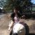 Jovani Gomez's profile image