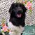 Cherie River Maitland's profile image