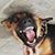Andres B Delfin's profile image