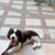 Susan Ferro's profile image