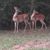 Mike-Gladys Dahlkoetter's profile image