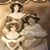 Linda Gibson-Breeding's profile image