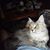 Cheryl Webb's profile image