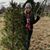 Brianna Ostrom's profile image