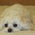 Diane Cunningham's profile image