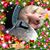 Todd Arthur's profile image