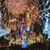 Susan Balzano Sykes's profile image