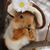 Malinda Cronise's profile image