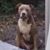 Tom Bryan's profile image