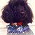 Shelia Hanson Sellers's profile image