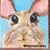 Melissa Casey's profile image