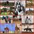 Staci Balkansky Daugird's profile image