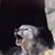 Jose Eduardo's profile image