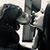 Lisa Boinus Novack's profile image