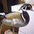 Jason Haggerty's profile image