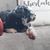 Crystel Sherlock's profile image