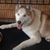 Paula Shipley Galdeano's profile image