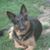 Joel Bourbeau's profile image