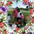 Romulo Morales's profile image