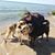 Kathleen Gehrs's profile image