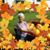 Terri Henderson Kelley's profile image
