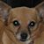 Linda Rogers's profile image