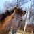 Susan Knaack's profile image