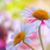 Michelle Lytle Blaskie's profile image