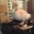 Lorrie Saxon's profile image