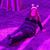 Michelle Iaconis's profile image