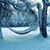 Randi Carnahan's profile image