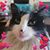 Linda Hilsheimer's profile image