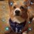 Mickey Yeafer's profile image