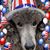Lori Cancersmasher Monian's profile image