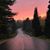 Debby Pier Lucey's profile image