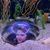 Fred Kunz's profile image