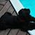 Becky Herman Sebby's profile image