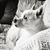 Julie Stiefel's profile image