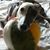 Wendy Wilson's profile image
