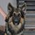 Heidi Rowland's profile image