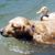 Terry Jean Graham's profile image