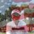 BoiHang Dang's profile image