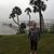 Ione Louise Lake's profile image