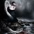 Angie Valles's profile image