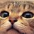 Georgia Anderson's profile image