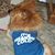 Linda Laudig's profile image