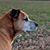 Brandy Wiggins's profile image