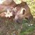 AmandaJane Conard's profile image