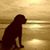Fiona Kelly's profile image