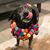 Ingrid Yu's profile image